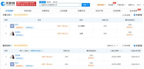 數字文化創意內容應用服務的崛起與未來發展